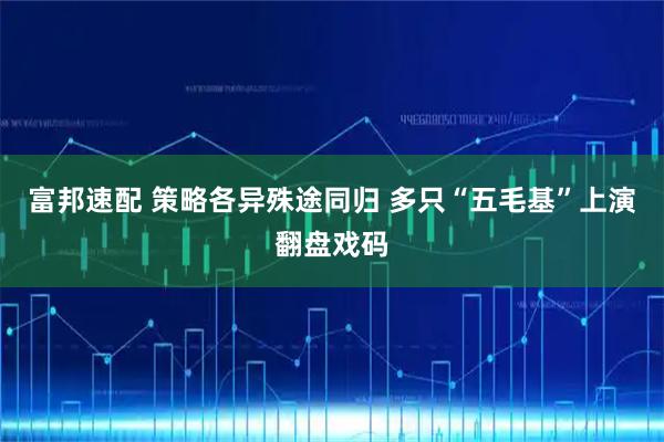 富邦速配 策略各异殊途同归 多只“五毛基”上演翻盘戏码
