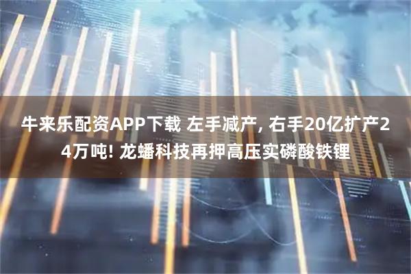 牛来乐配资APP下载 左手减产, 右手20亿扩产24万吨! 龙蟠科技再押高压实磷酸铁锂